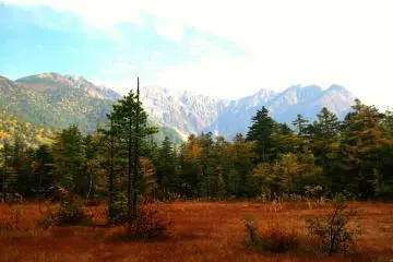 Autumn foliage in the marshlands near the Lake Tashiro (Photo: MASAYOSHI HIROSE)